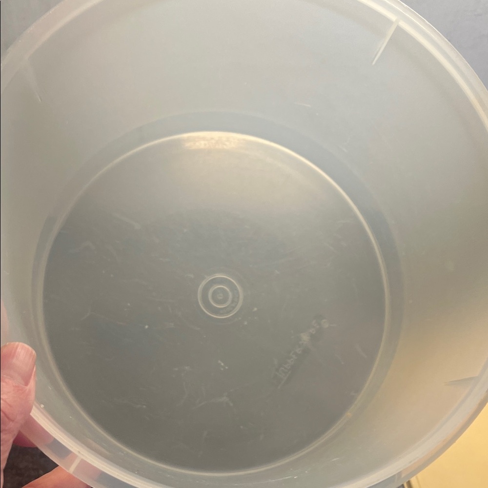 Translucent Storage Container with Cream Lid - Picture 3 of 4